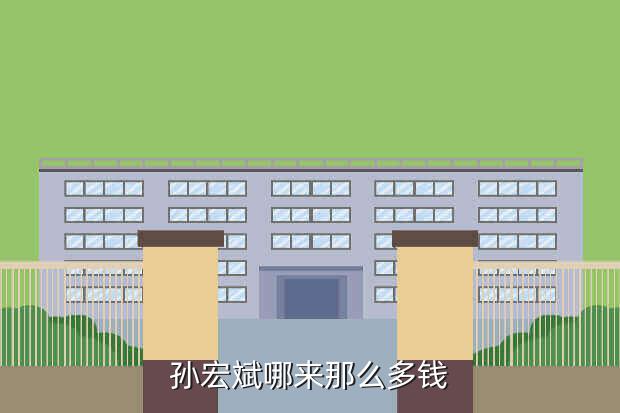 孙宏斌哪来那么多钱