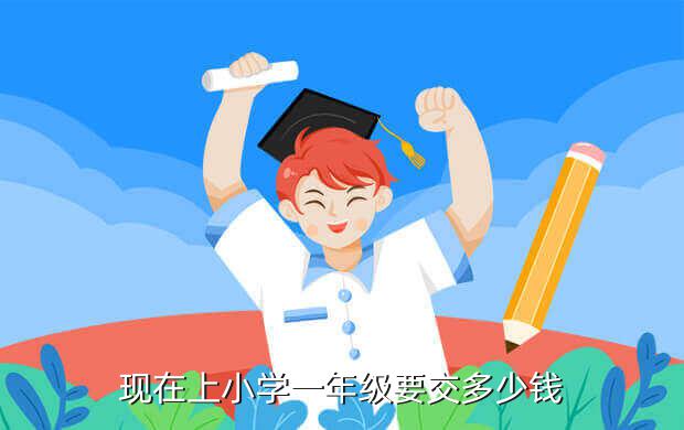 现在上小学一年级要交多少钱