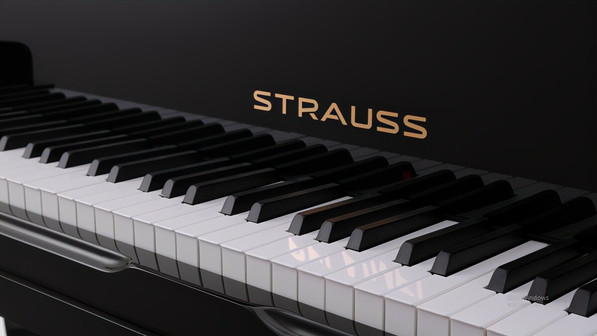 施特劳斯钢琴 放飞音乐梦想