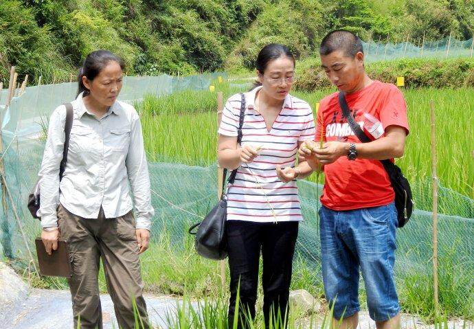 袁隆平的三子，子承父业，34岁拿博士学位，妻子也是杂交水稻专家