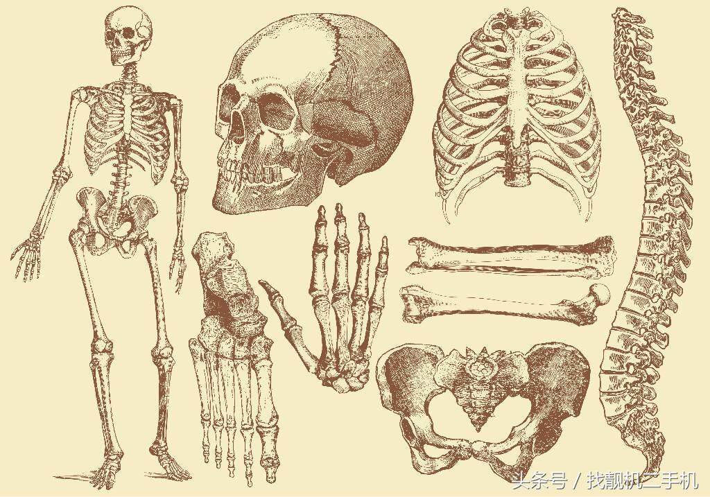 人死后埋到地下,白骨大约能留存多久?