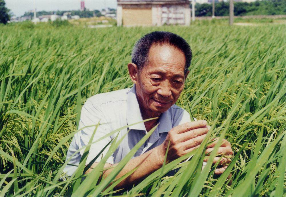 袁隆平的三子，子承父业，34岁拿博士学位，妻子也是杂交水稻专家