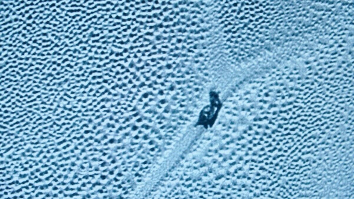 地球不是孤独的?NASA探测器发现疑似外星球“生物”
