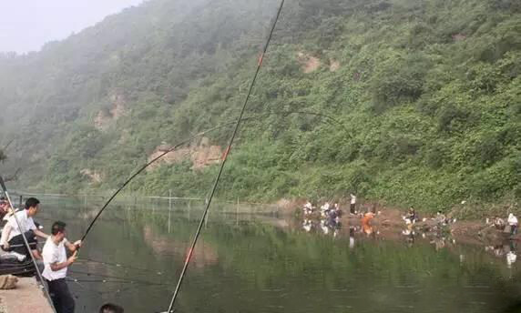 19调和28调的鱼竿,实战中到底有什么区别