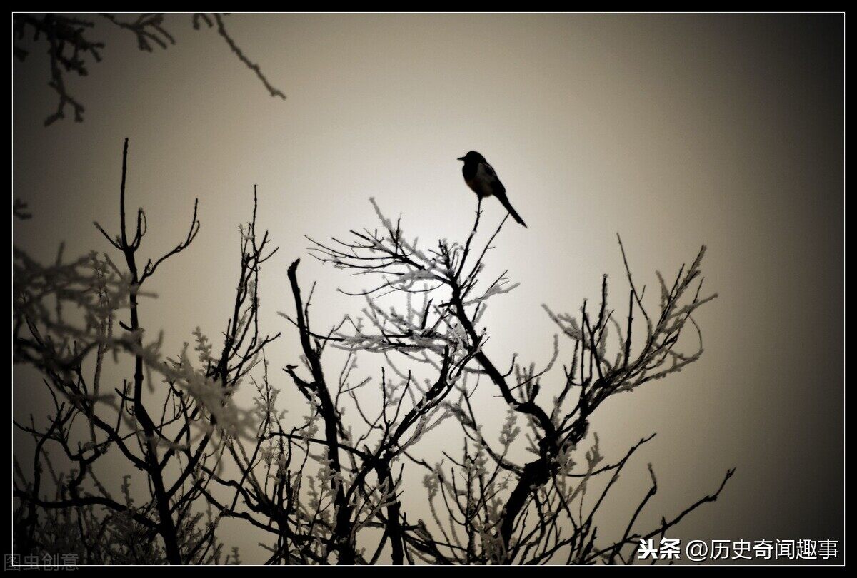 狸猫换太子——宋仁宗 赵祯