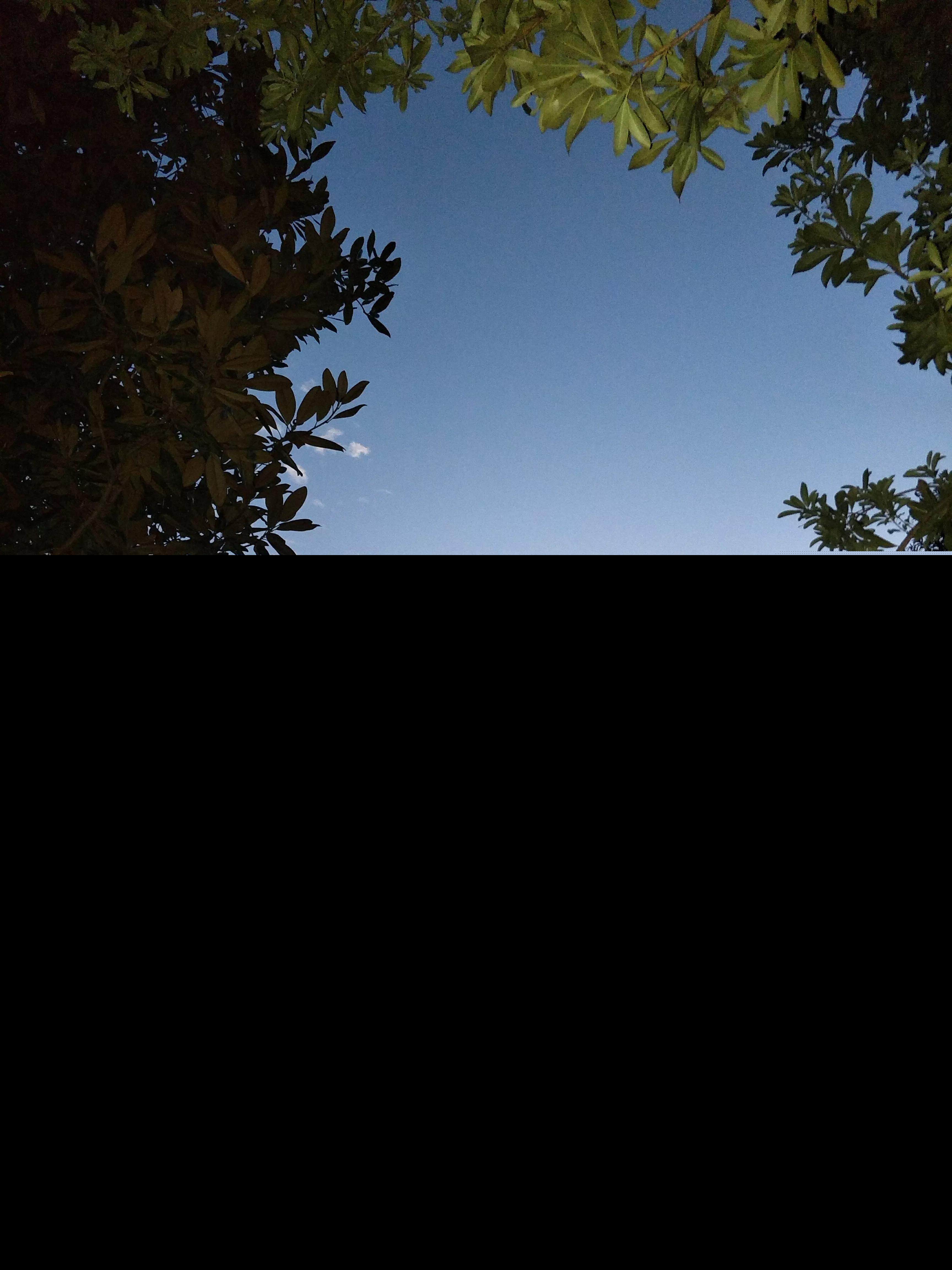 中国地震带分布图,湖南省最安全