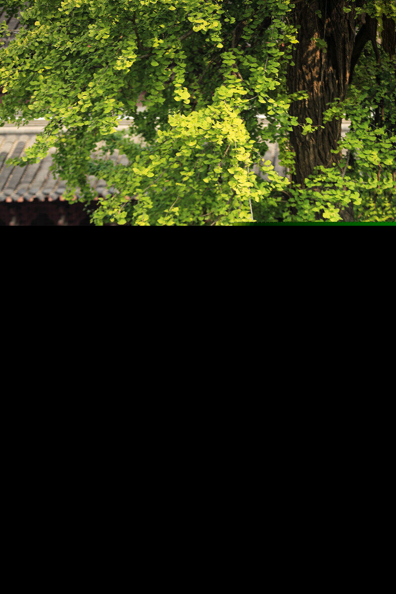 中国10大宜居城市最新排名,倘若择一城终老,退休后你会去哪里?
