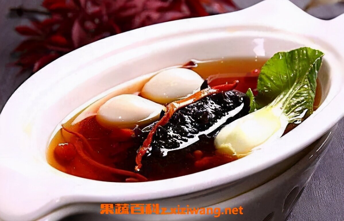 东盛澜丨海参怎么做好吃又简单
