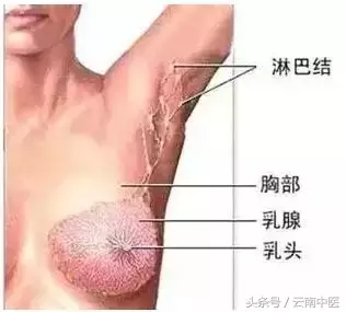 你的耳后有这种“小包”吗？不要掉以轻心呀